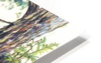 Wet Towels HD Metal print