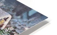 Skate Pond HD Metal print