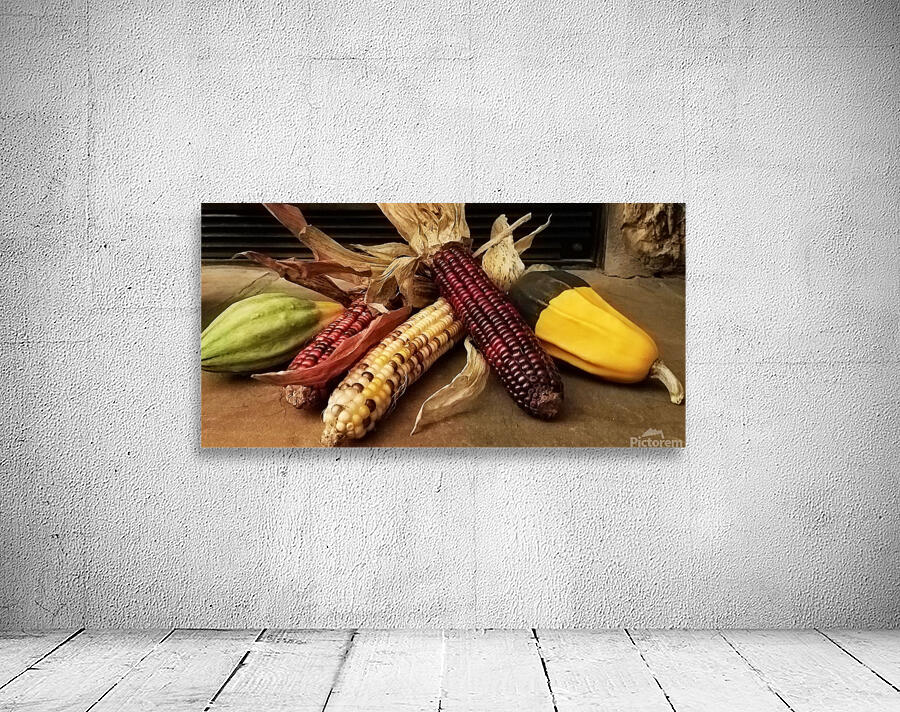 Indian Corn Wall Preview