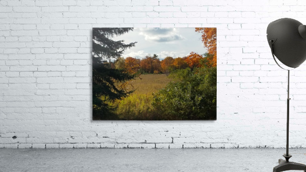 Autumn Glow Wall Preview