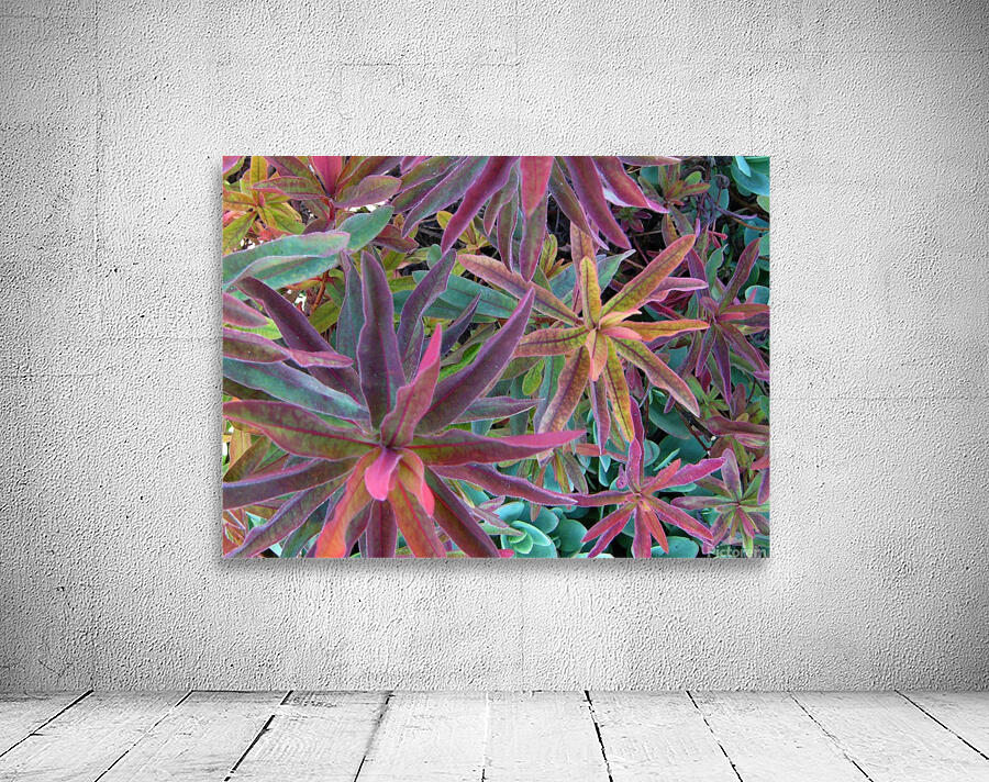 Natures Magic Wall Preview