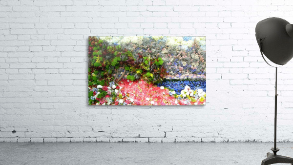 Collage Wall Preview