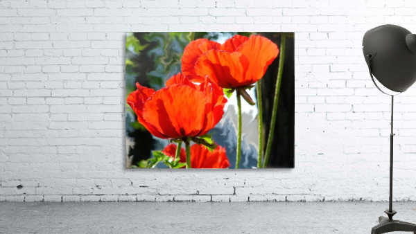 Poppies Wall Preview