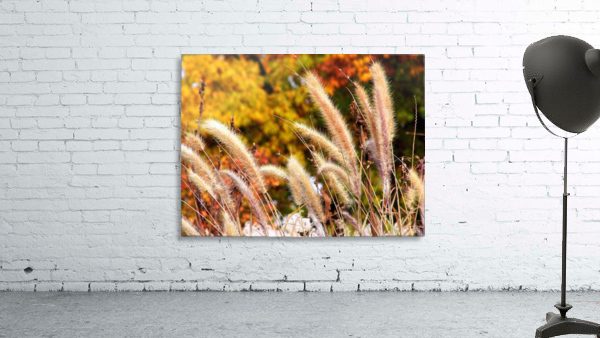Dancing Grass Wall Preview