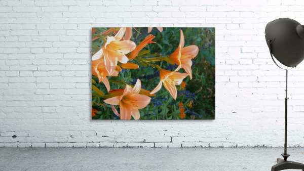 Sun Worshippers Wall Preview