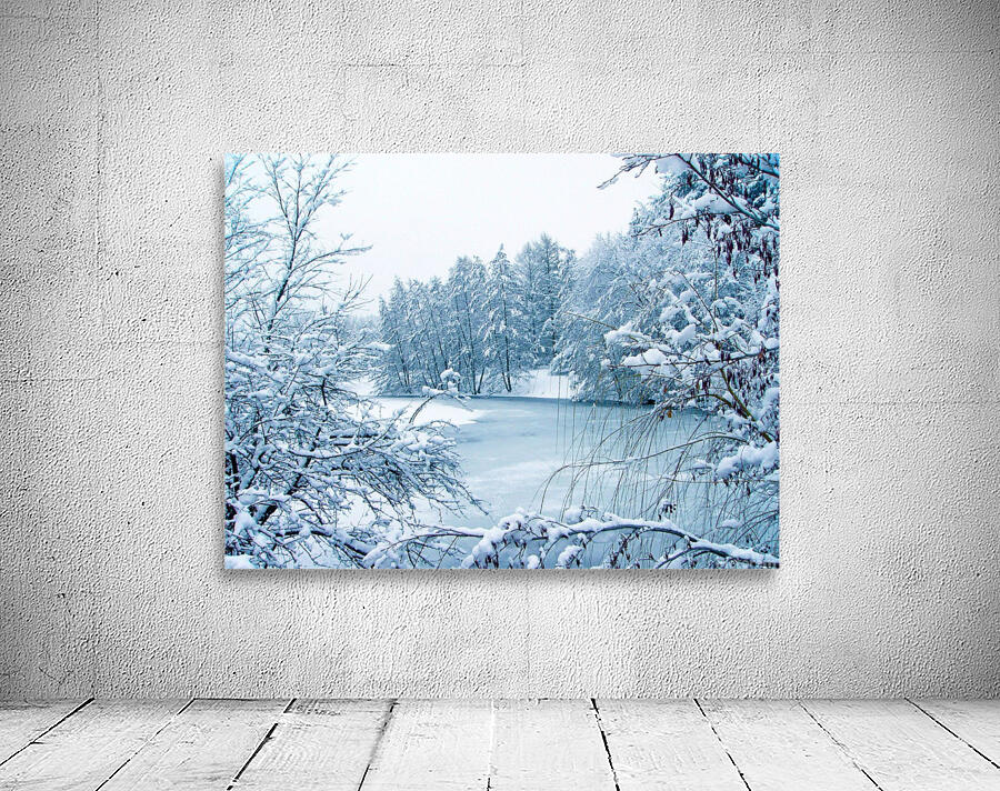 Winter Tranquility Wall Preview