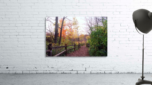 The Path to Peace Wall Preview