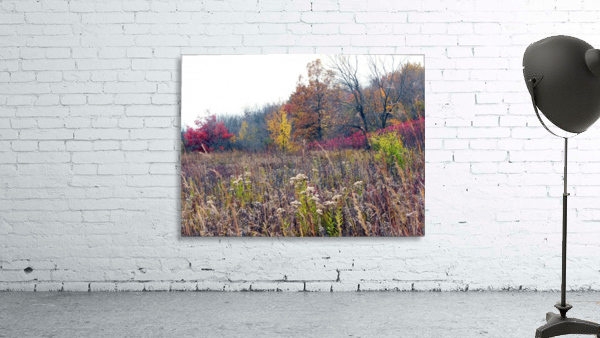 Prairie Wall Preview