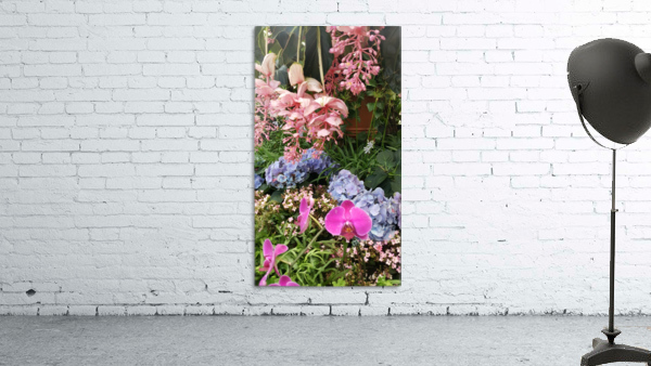 Whimsy Wall Preview