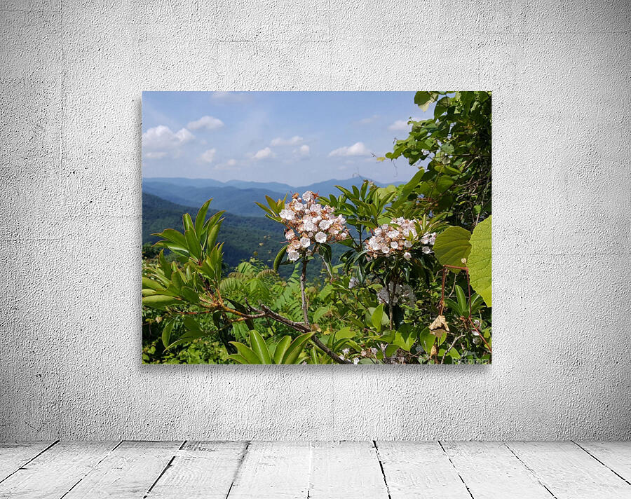 Mountain Paradise Wall Preview