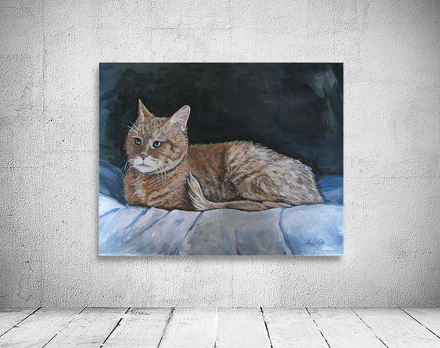 catportrait Wall Preview