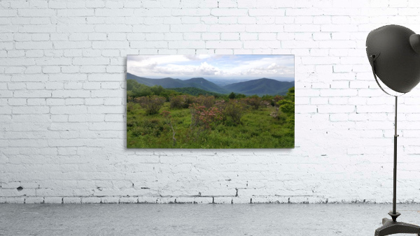 In the Distance Wall Preview