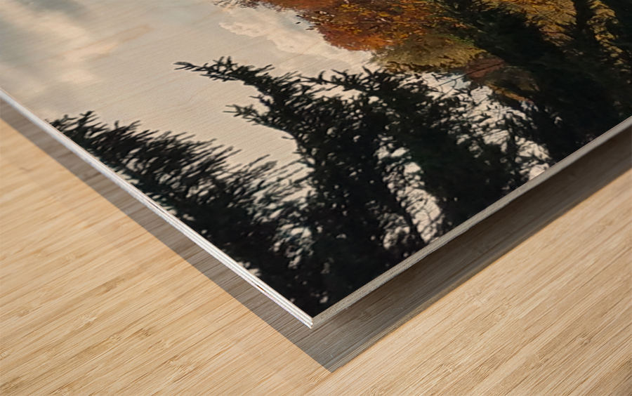 Autumn Glow Wood print