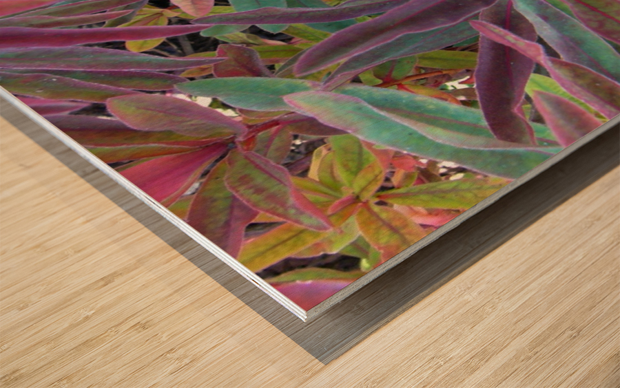 Natures Magic Wood print