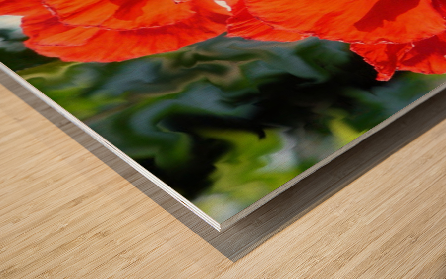 Poppies Wood print