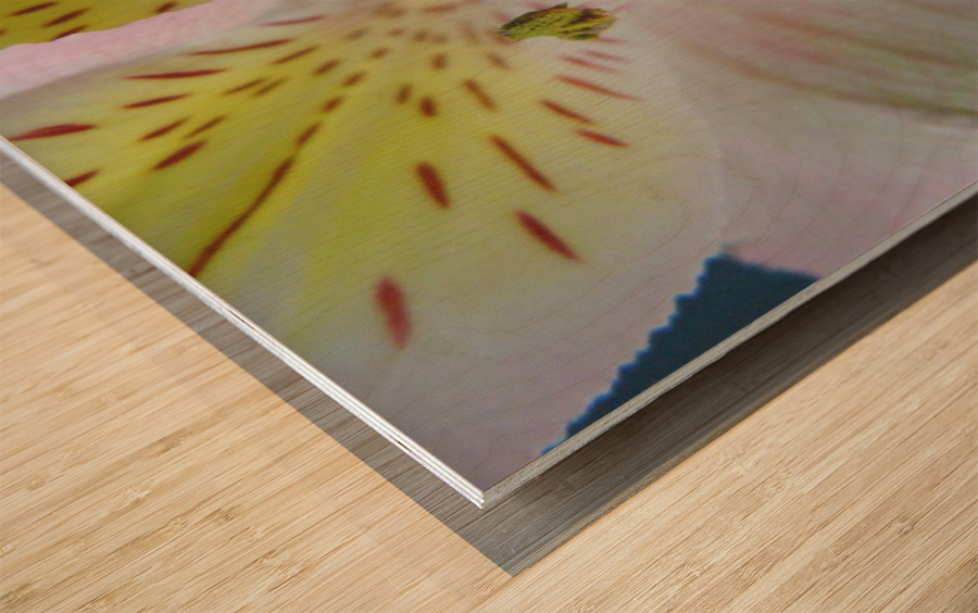 Pastels Wood print