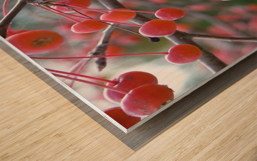 Berries Wood print