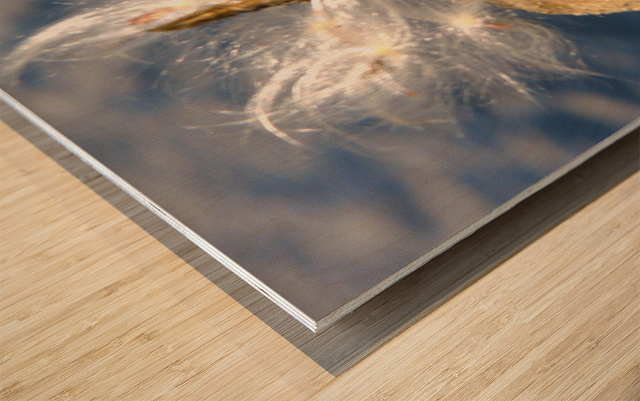 Wild Thing Wood print