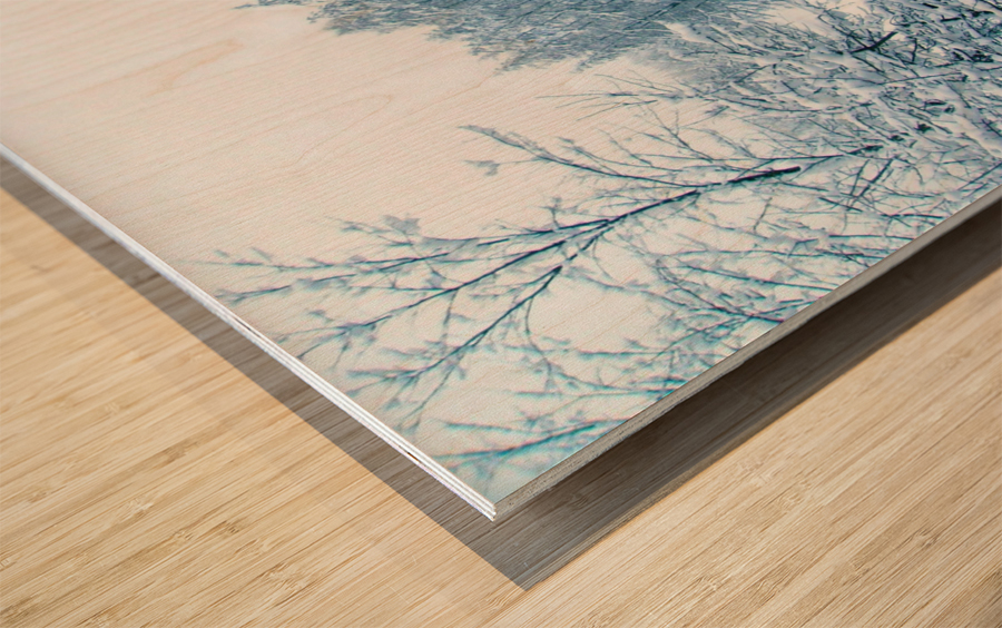 Winter Tranquility Wood print
