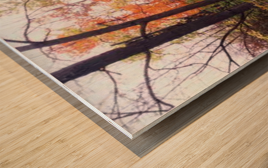 The Path to Peace Wood print