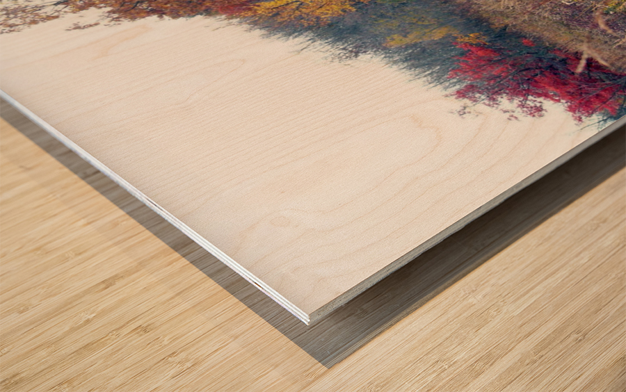 Prairie Wood print