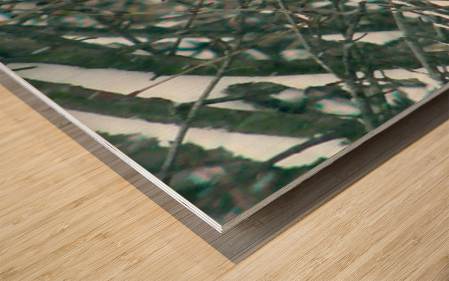 Camouflage Wood print