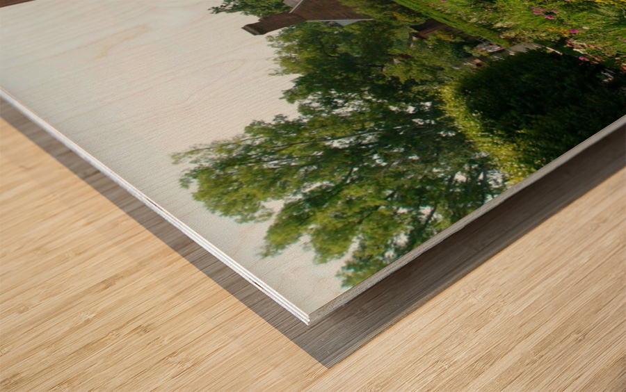 Green Thumb Envy Wood print
