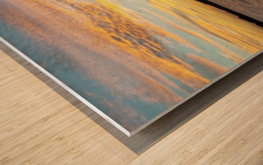 The Painters Pallet Wood print