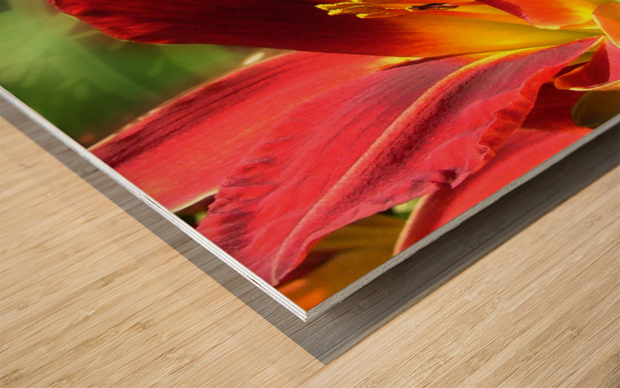 Firecrackers Wood print