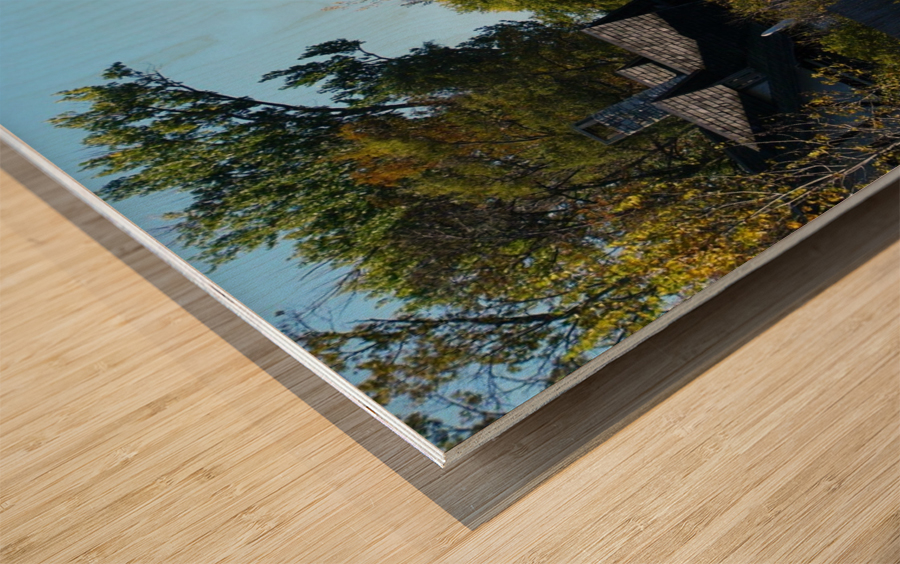 Place Up North Wood print