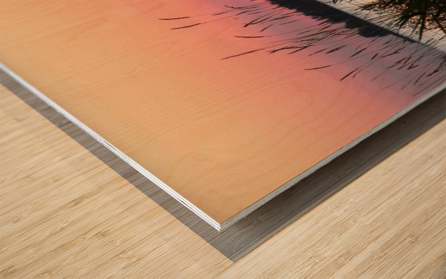 Pinks and Peaches Wood print