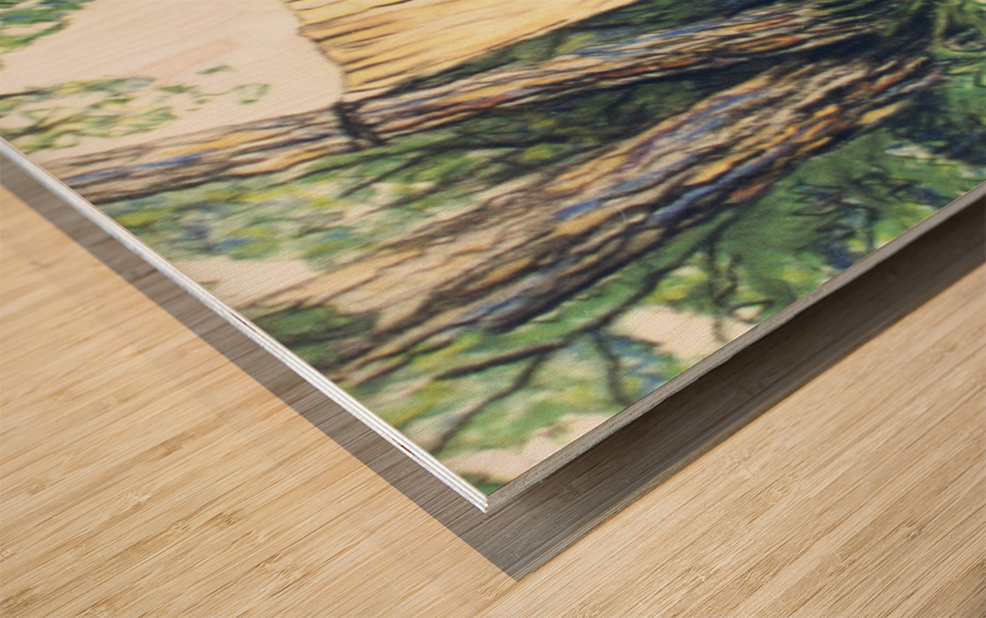 Wet Towels Wood print
