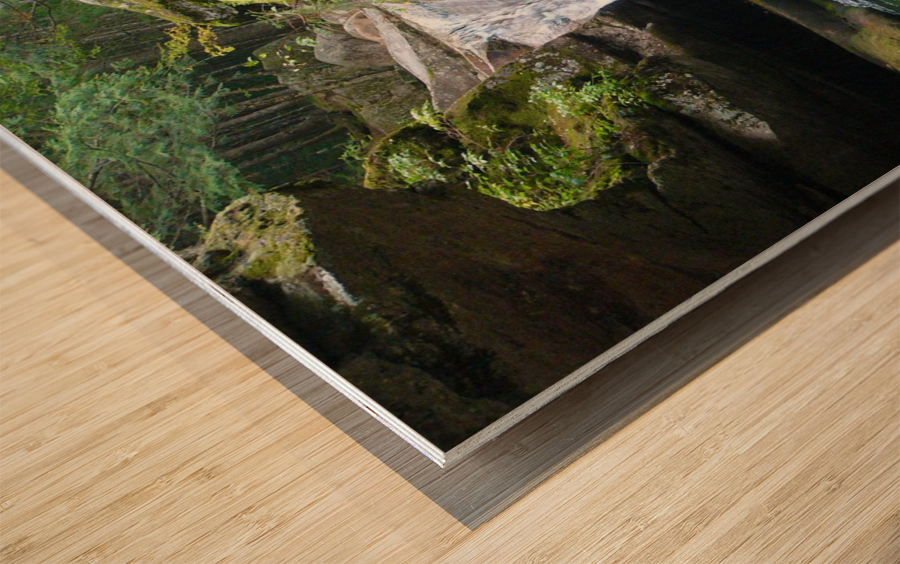 The Pool Wood print