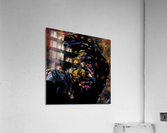 Life Beyond Colour Acrylic Print