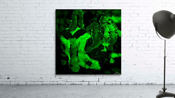 green3 Wall Preview