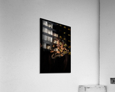 Hidden Acrylic Print