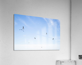 Birds  Acrylic Print