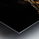 Blinded Metal print