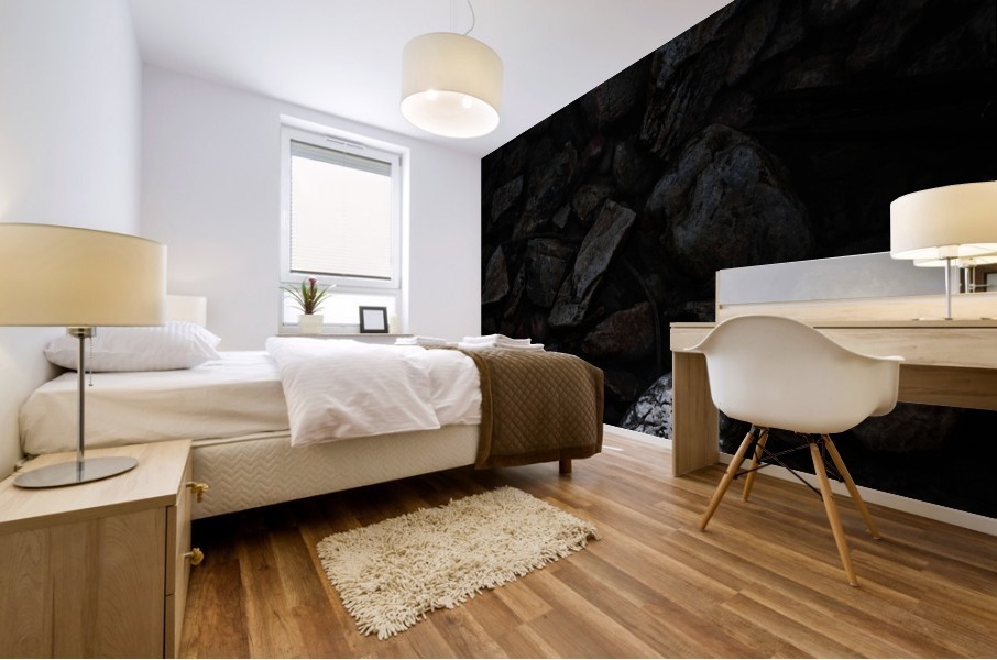 Contrasted Mural print