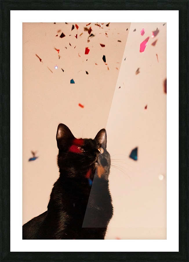 Party time Picture Frame print