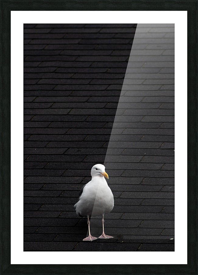 Isolated  Picture Frame print