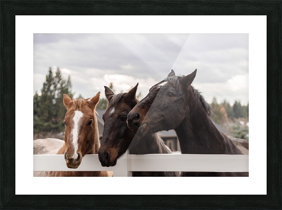 Friends Picture Frame print