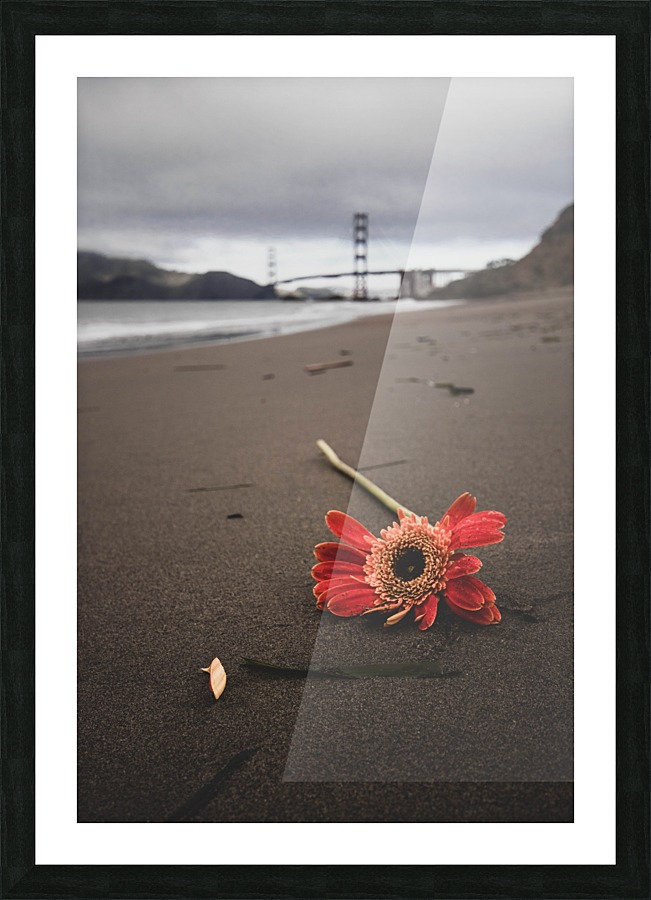 Lonely  Picture Frame print