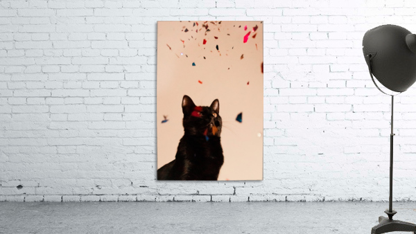 Party time Wall Preview