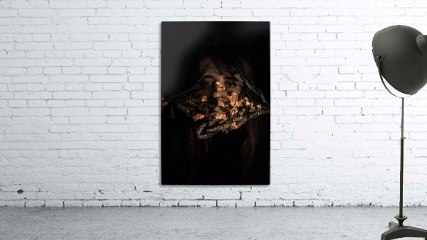 Hidden Wall Preview