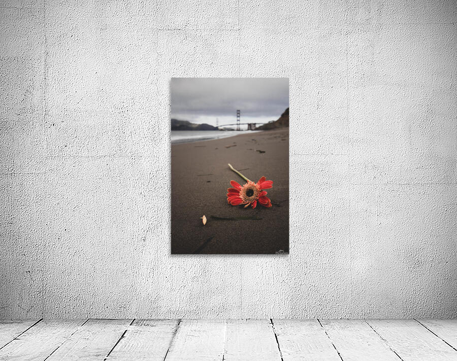 Lonely  Wall Preview
