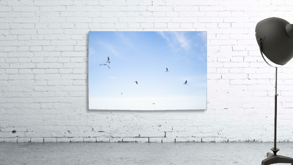 Birds  Wall Preview