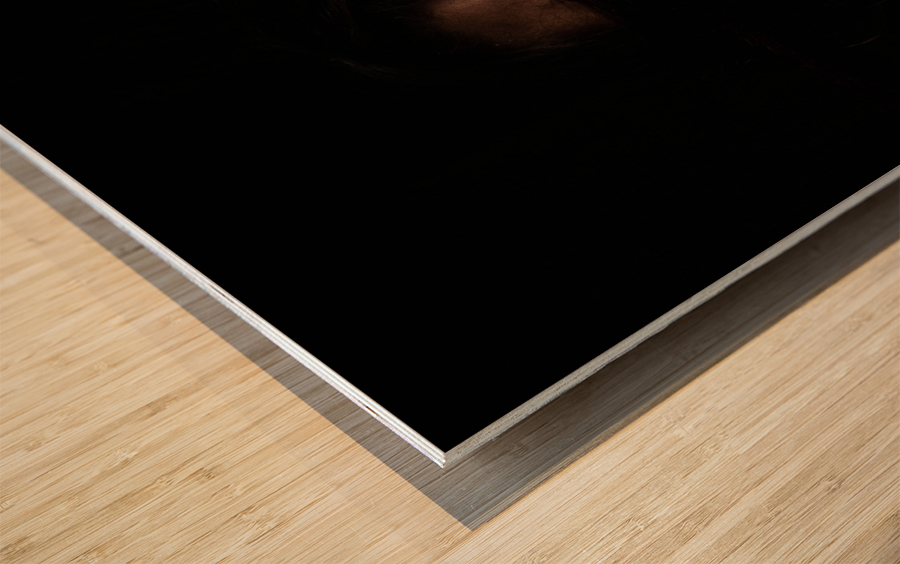 Hiding  Wood print