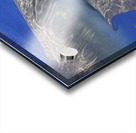 Circle Acrylic print