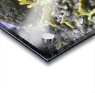 Copyright Acrylic print